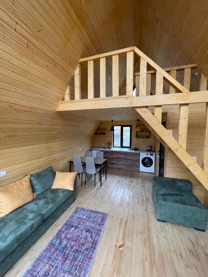 Guesthouse Elli & Cottages Kazbegi Exterior foto